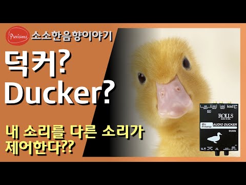 덕커? Ducker? 내 소리를 다른 소리가 제어 ..